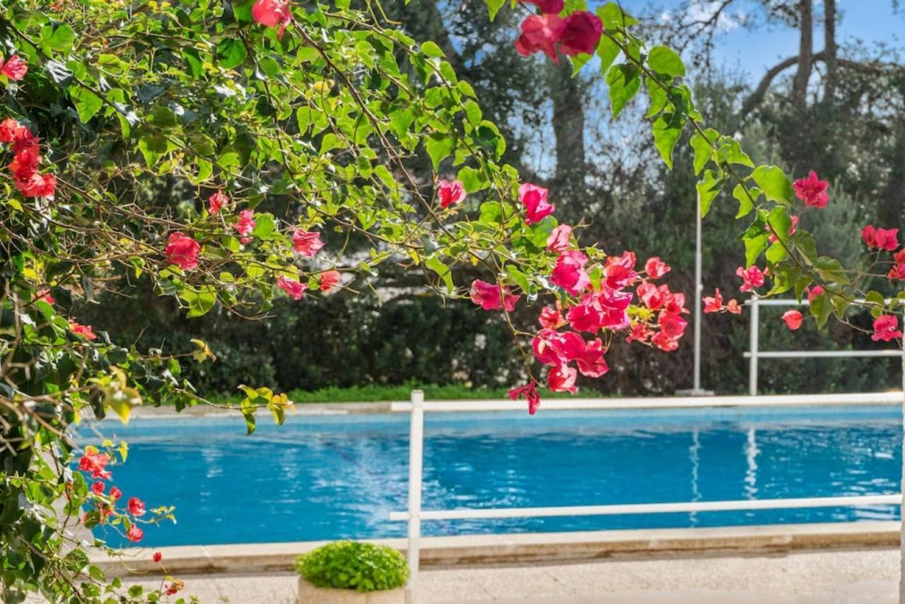 Apartamento Cap Roig ビニベカ エクステリア 写真