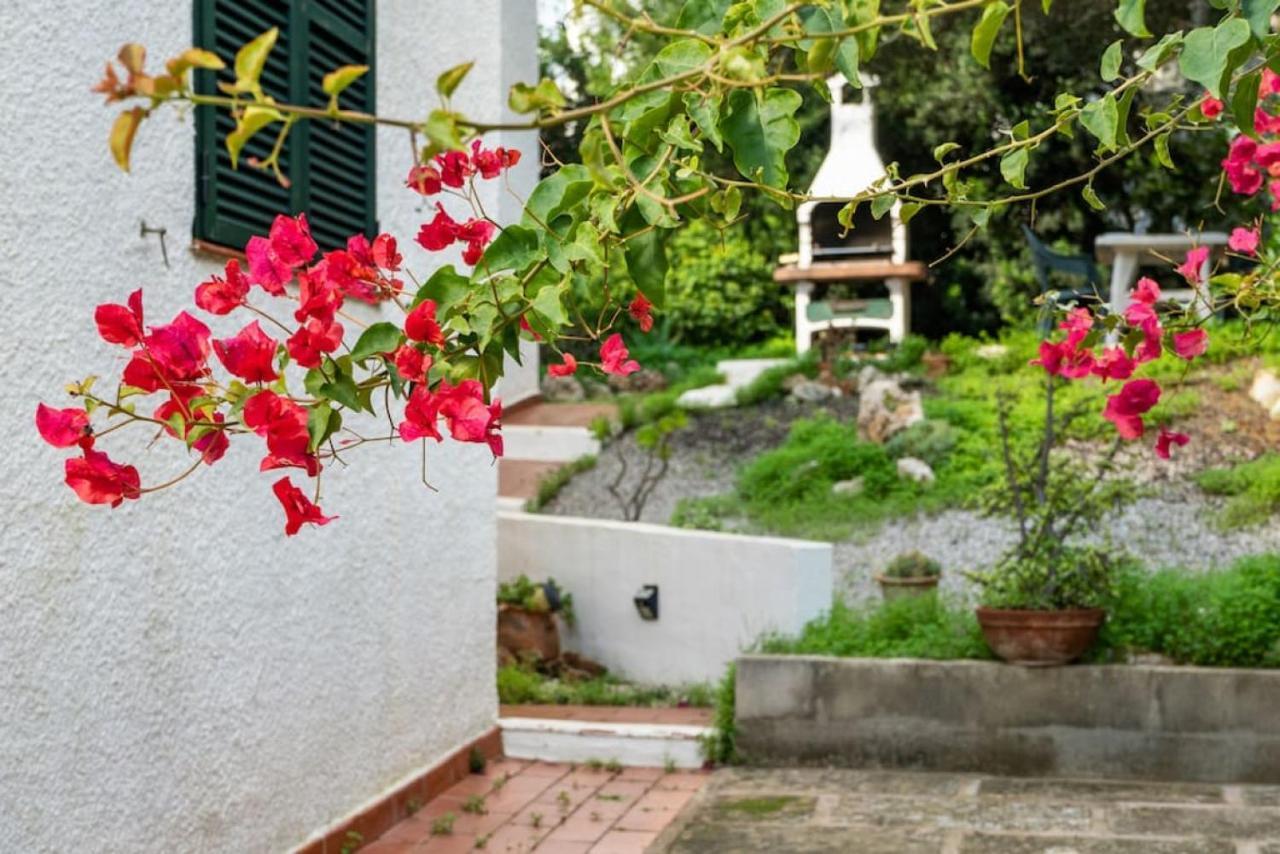 Apartamento Cap Roig ビニベカ エクステリア 写真